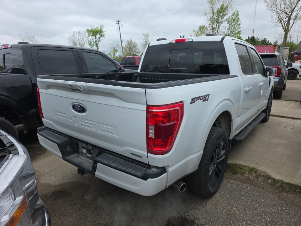 FORD F-150 - 5