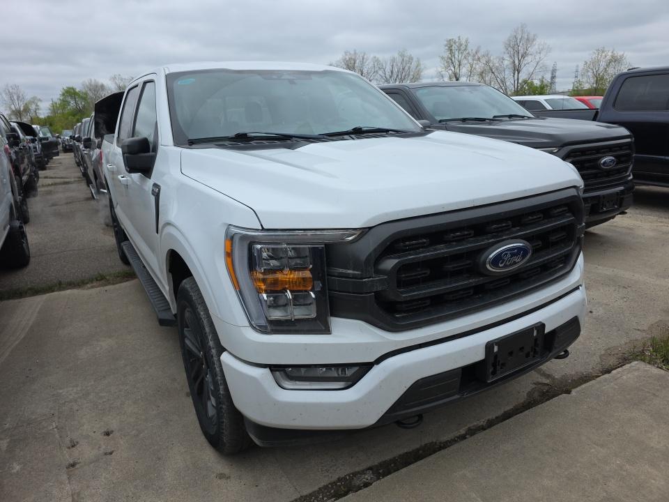 FORD F-150 - 4