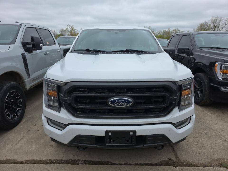FORD F-150 - 3