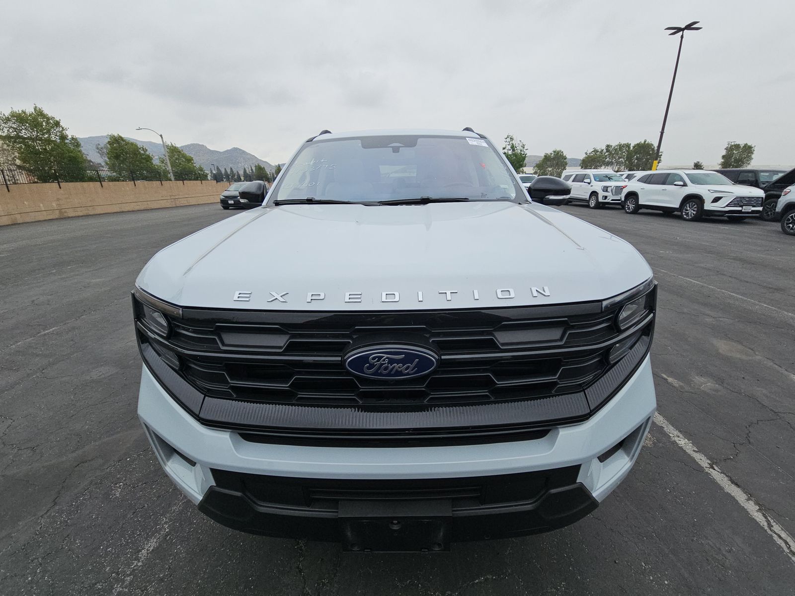 FORD EXPEDITION MAX - 3