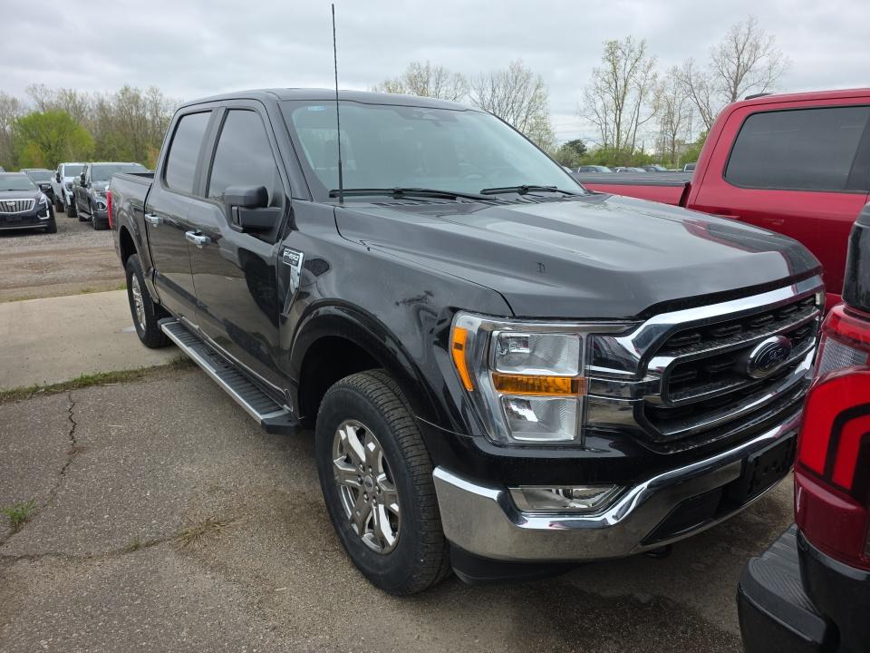 FORD F-150 - 4