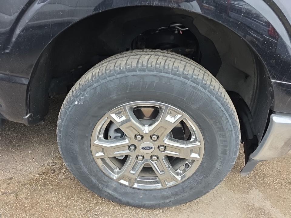FORD F-150 - 10
