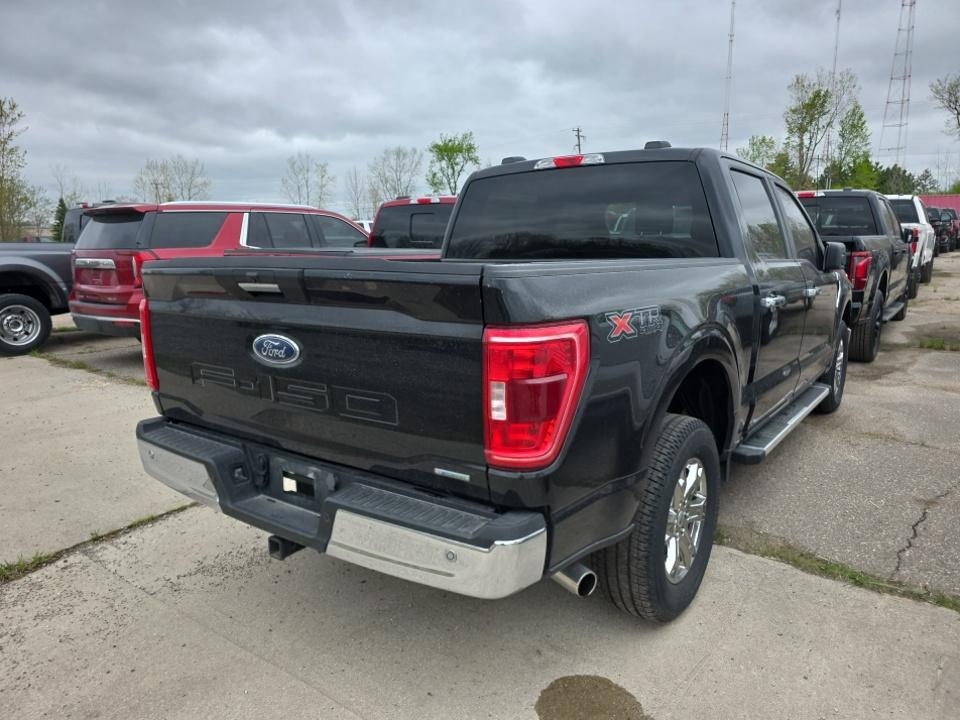 FORD F-150 - 5