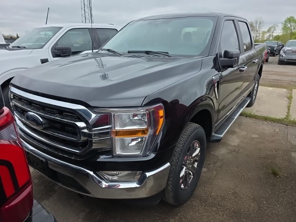 FORD F-150 - 1