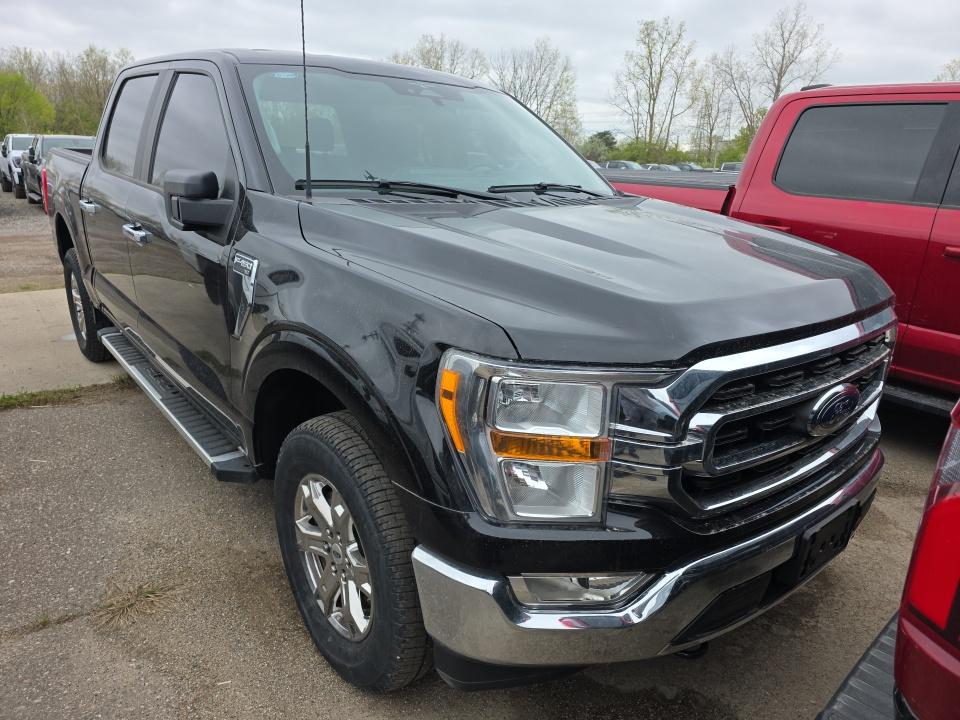 FORD F-150 - 3