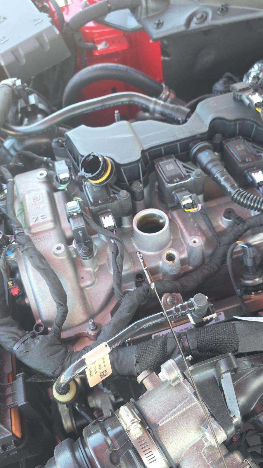 2026 Ford Mustang EcoBoost Premium RWD