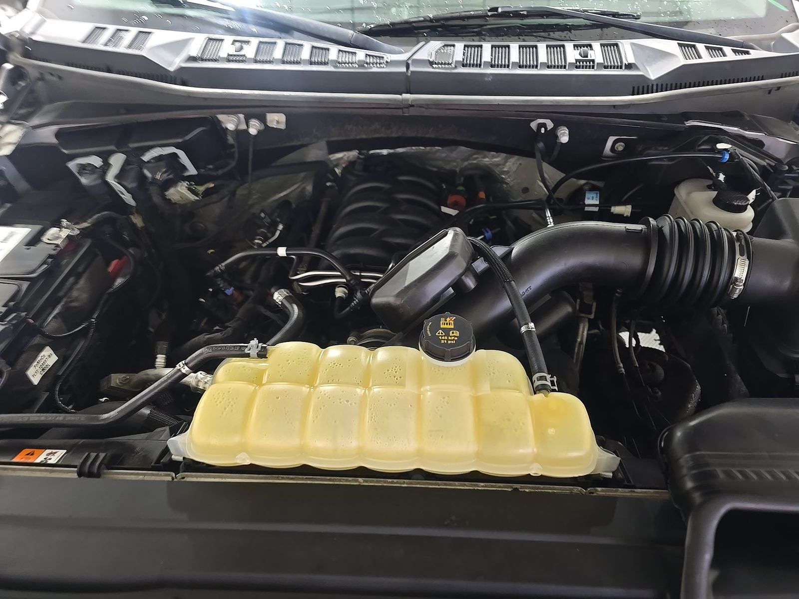 2019 Ford F-150 XLT AWD