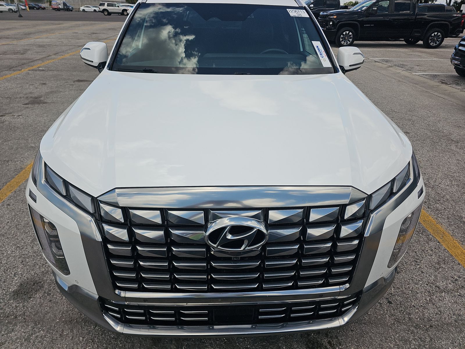 HYUNDAI PALISADE - 3