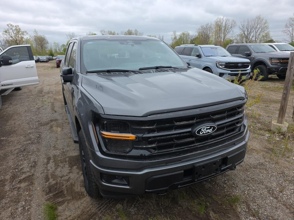 FORD F-150 - 3