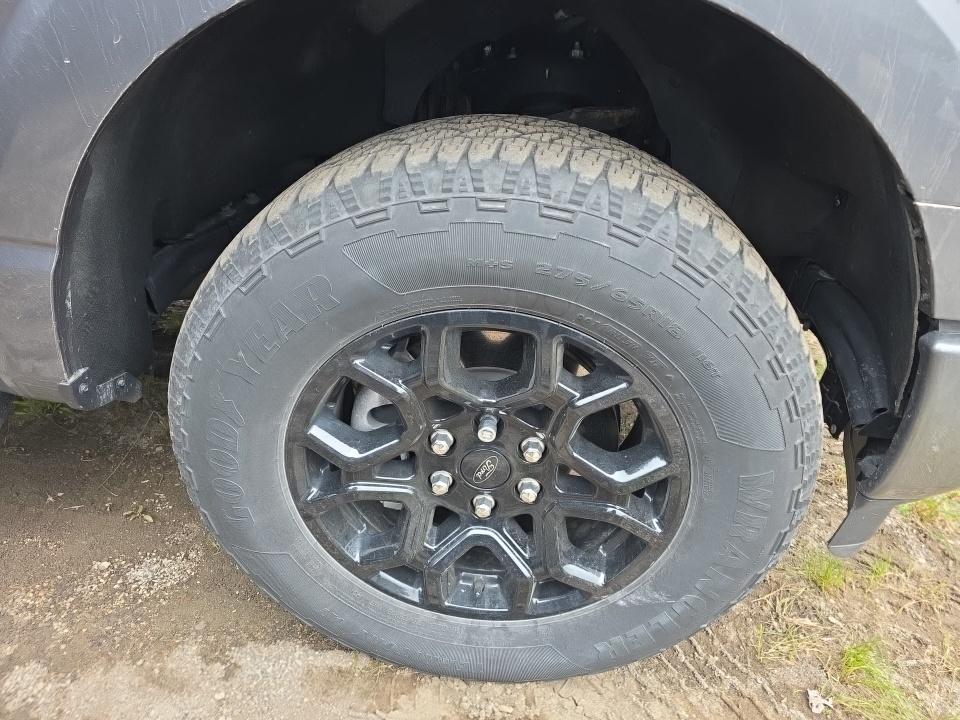 FORD F-150 - 10