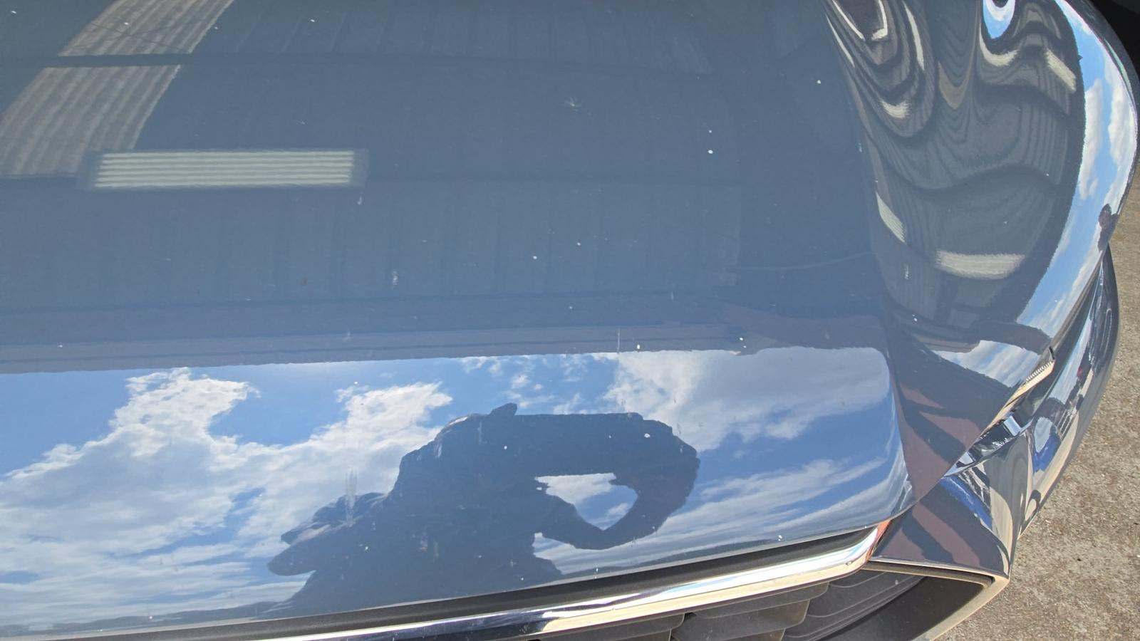 2023 Ford Escape Hybrid Active AWD