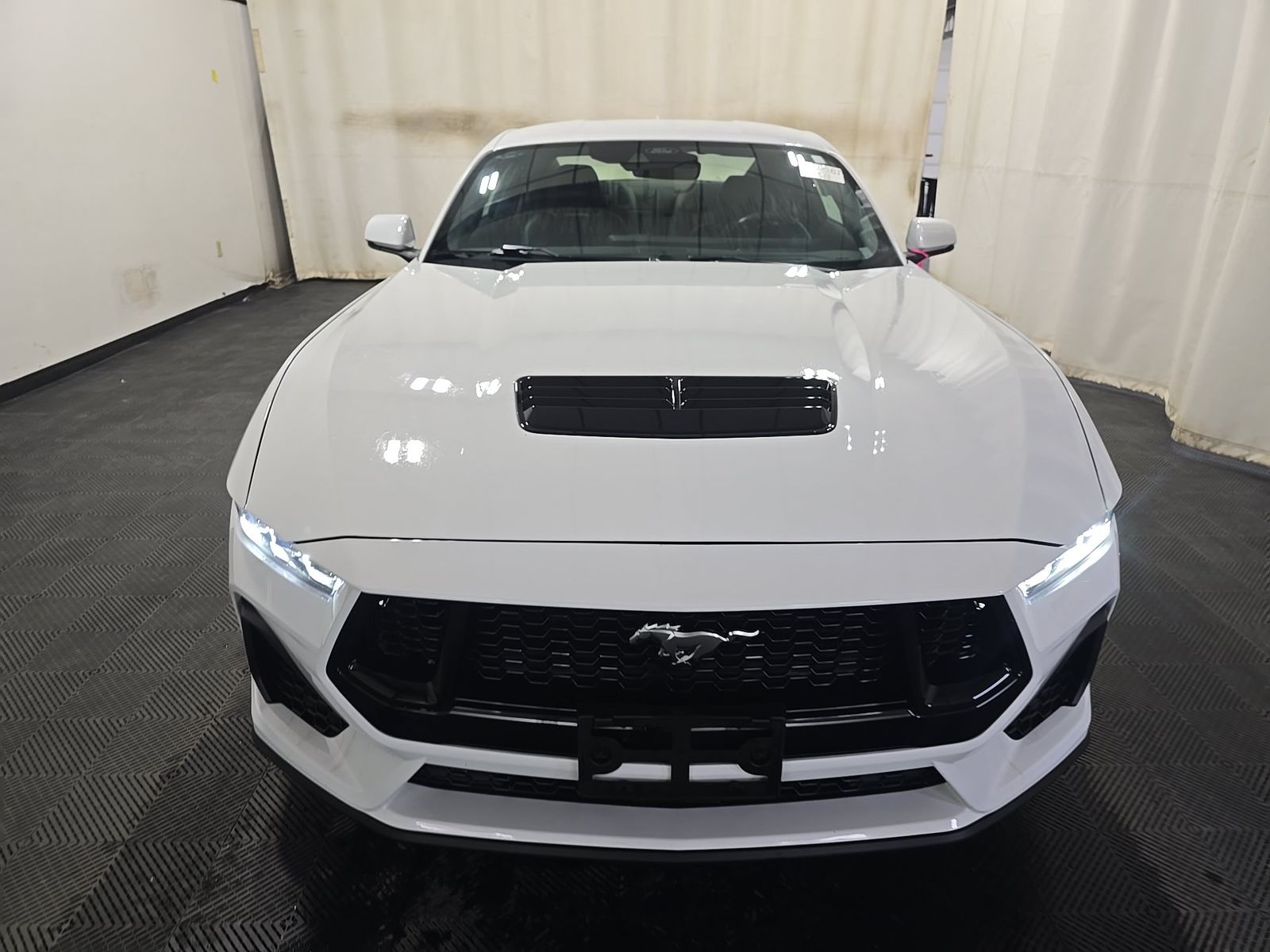 FORD MUSTANG - 3