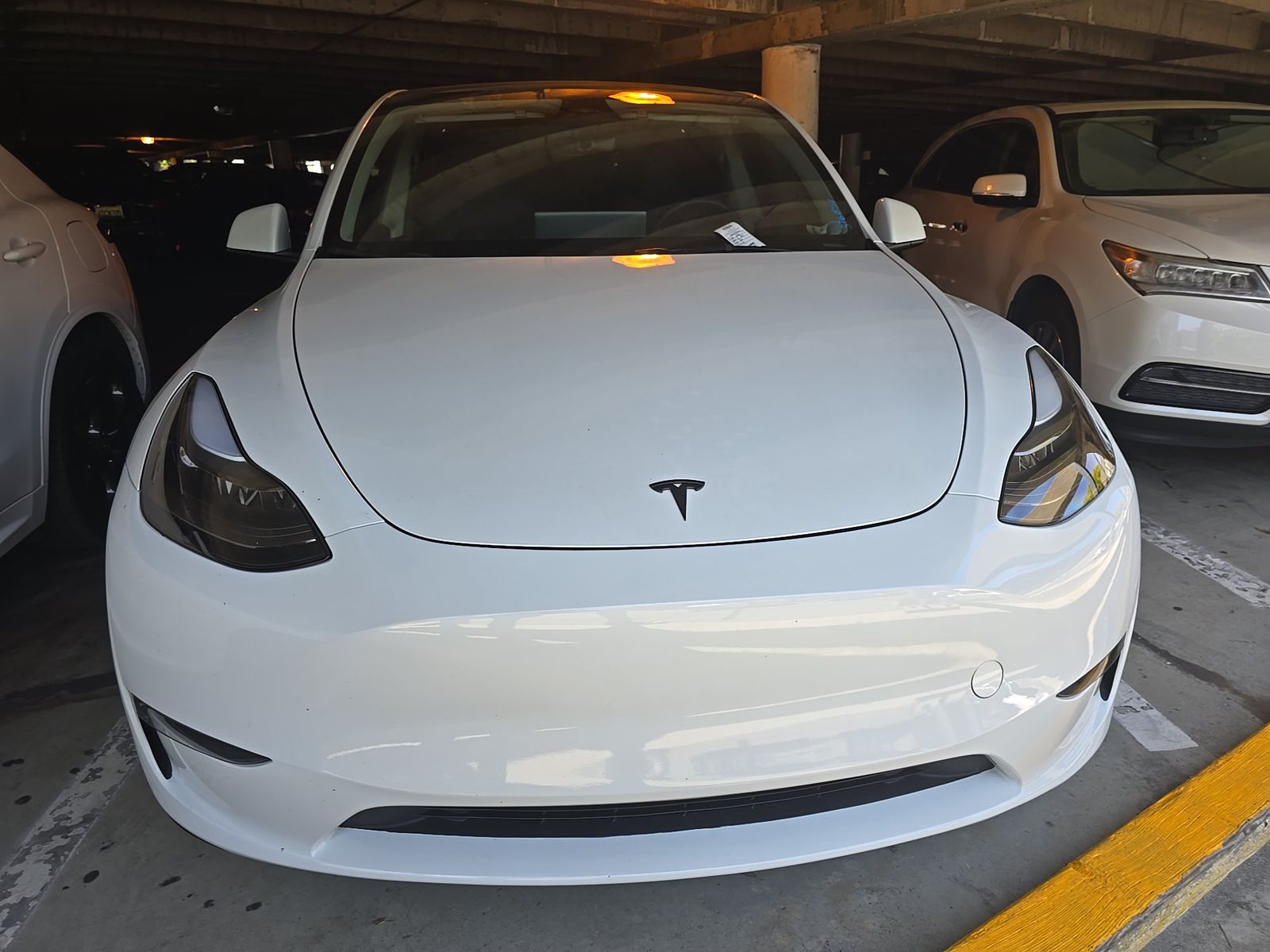 TESLA MODEL Y - 3