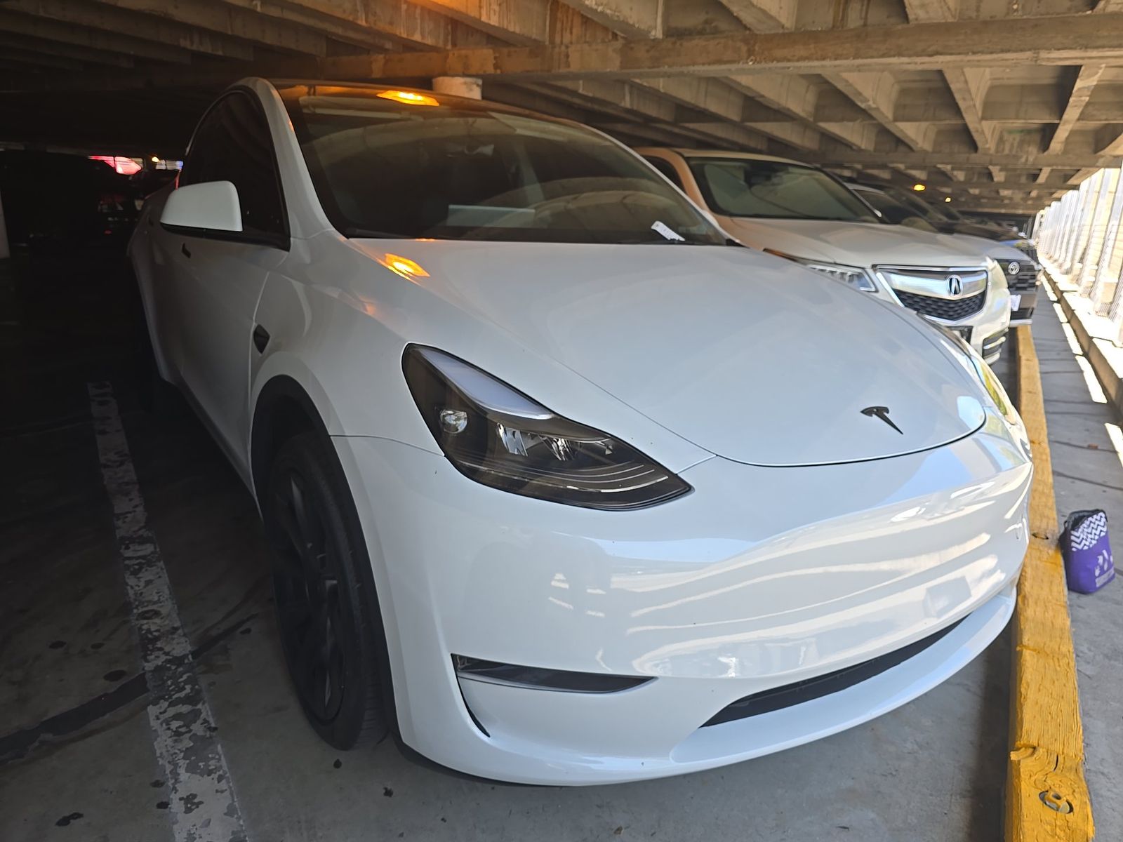 TESLA MODEL Y - 4