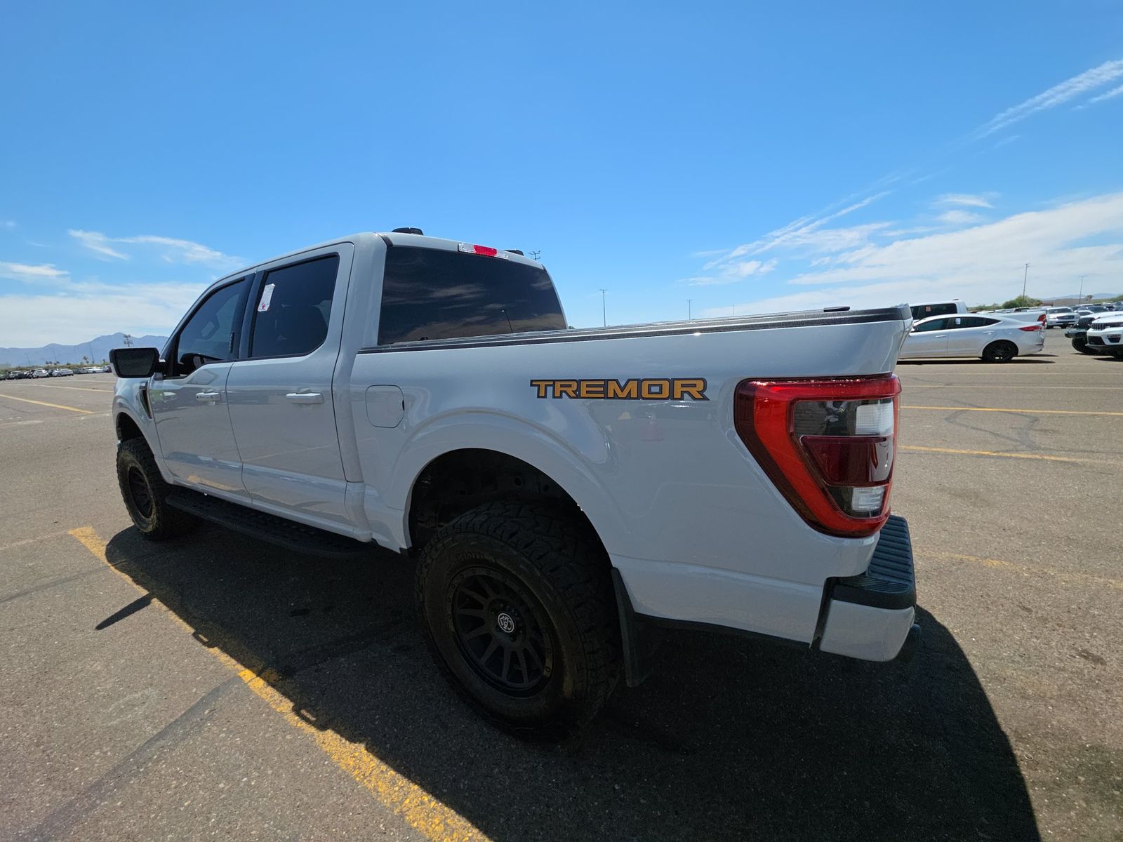 FORD F-150 - 9