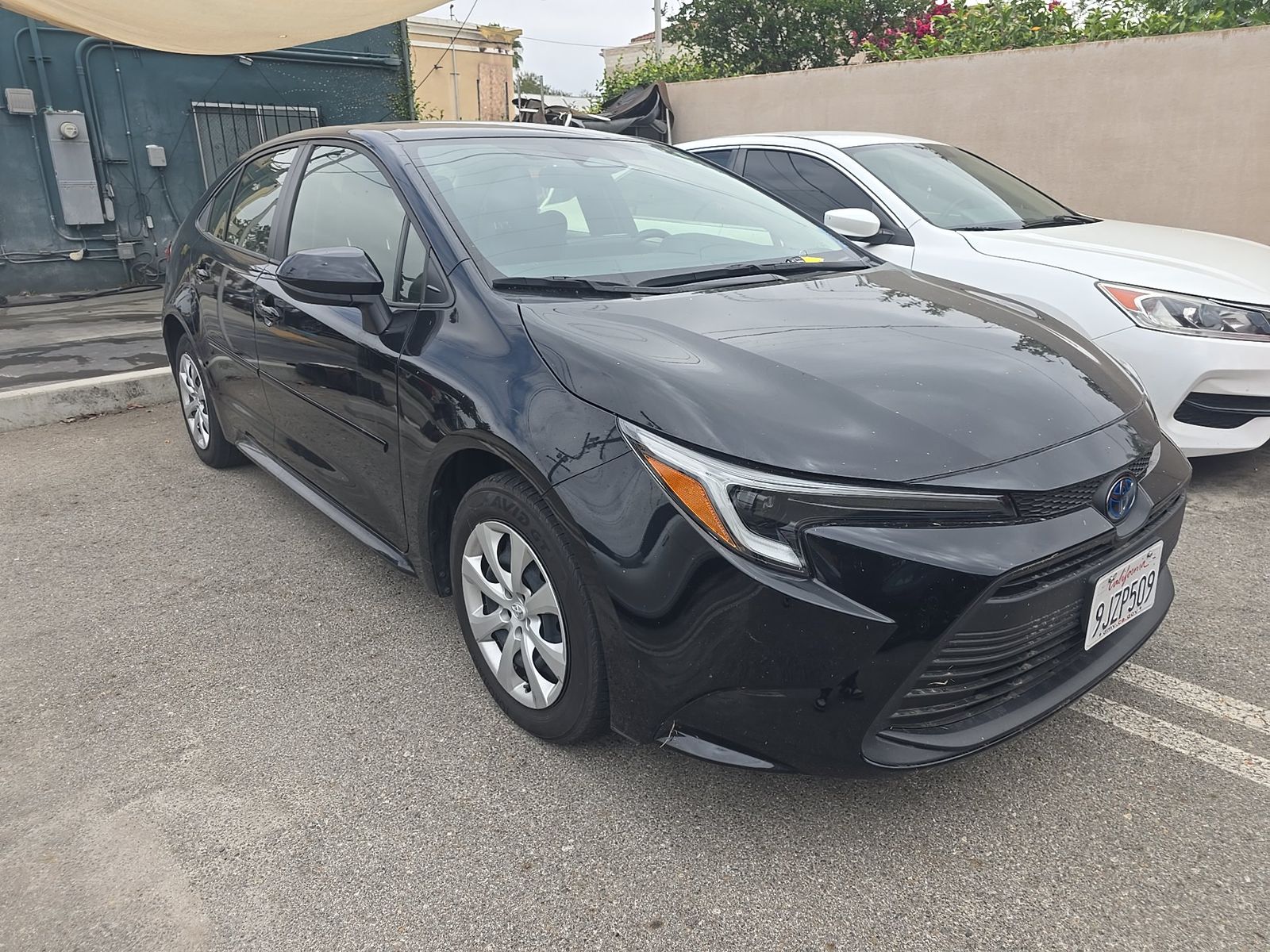 TOYOTA COROLLA - 4