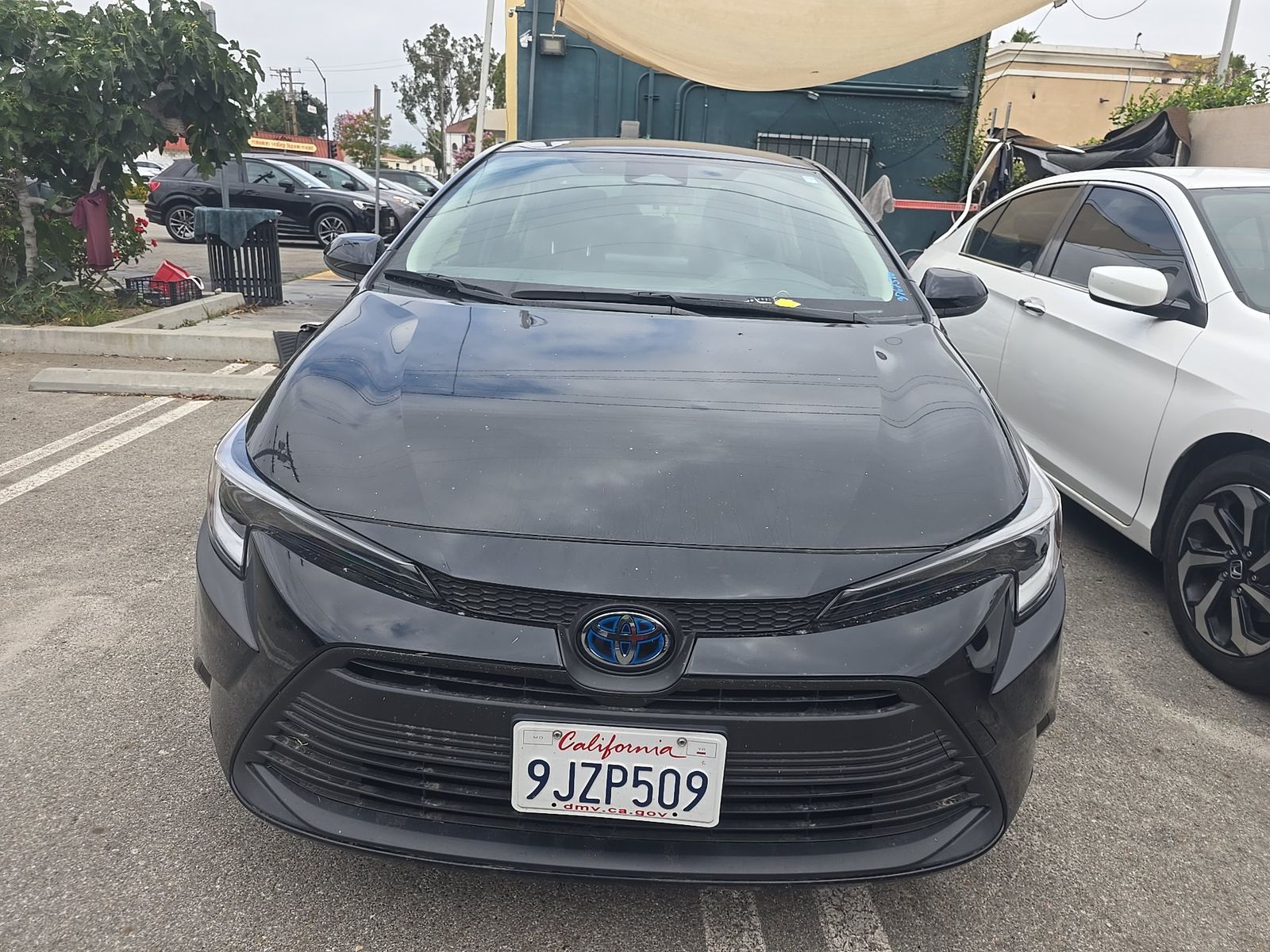 TOYOTA COROLLA - 3