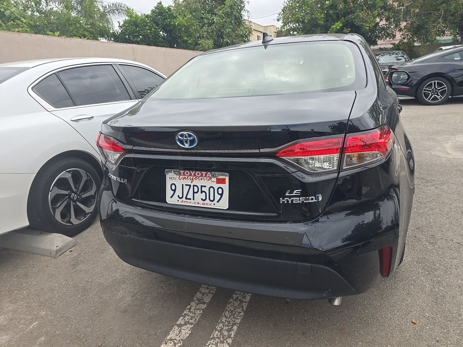 TOYOTA COROLLA - 6