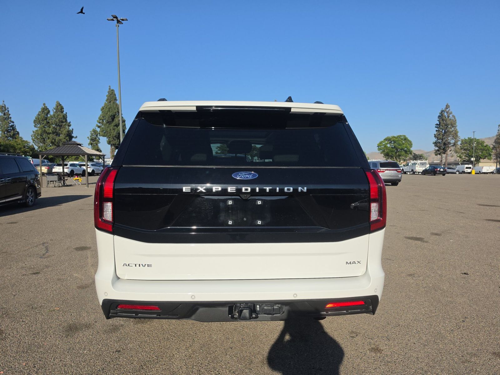 FORD EXPEDITION MAX - 6