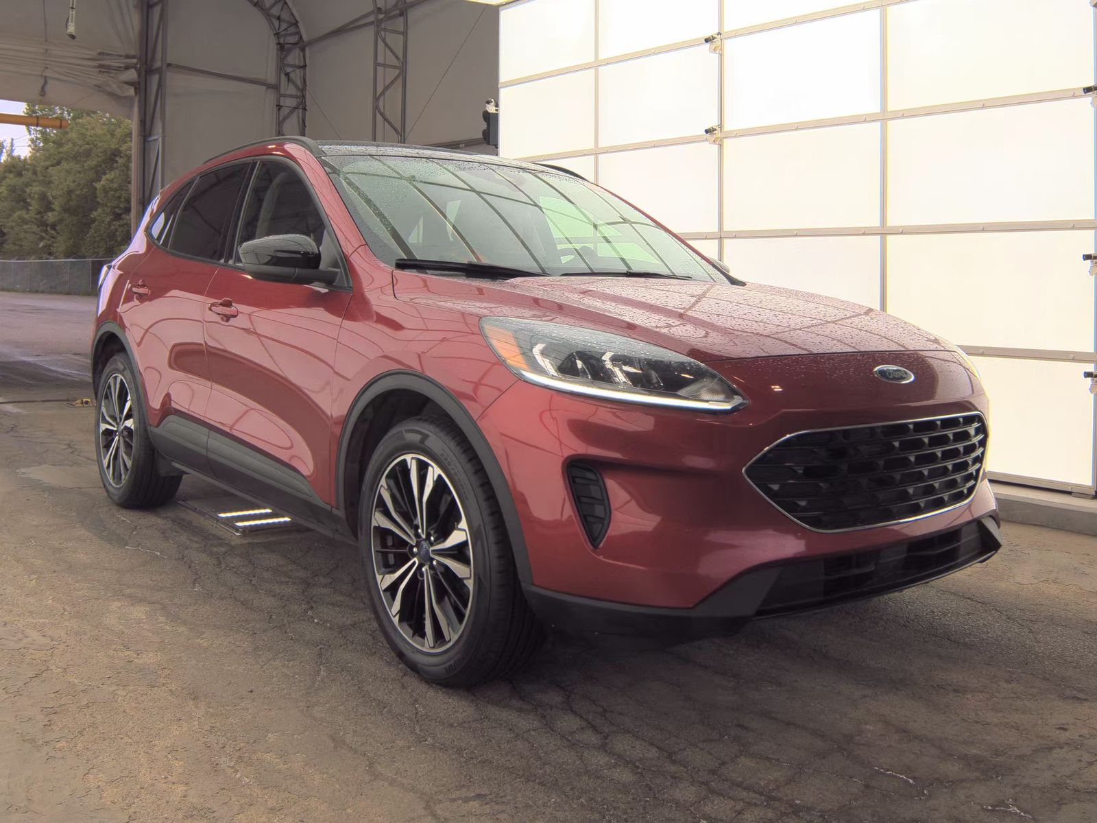FORD ESCAPE - 5