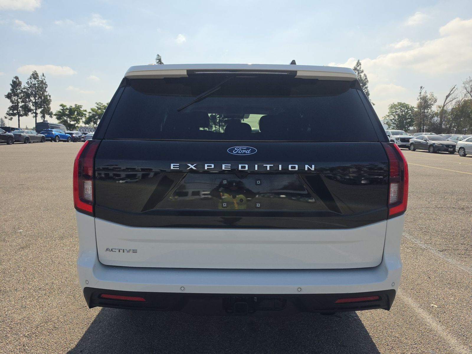 FORD EXPEDITION - 6