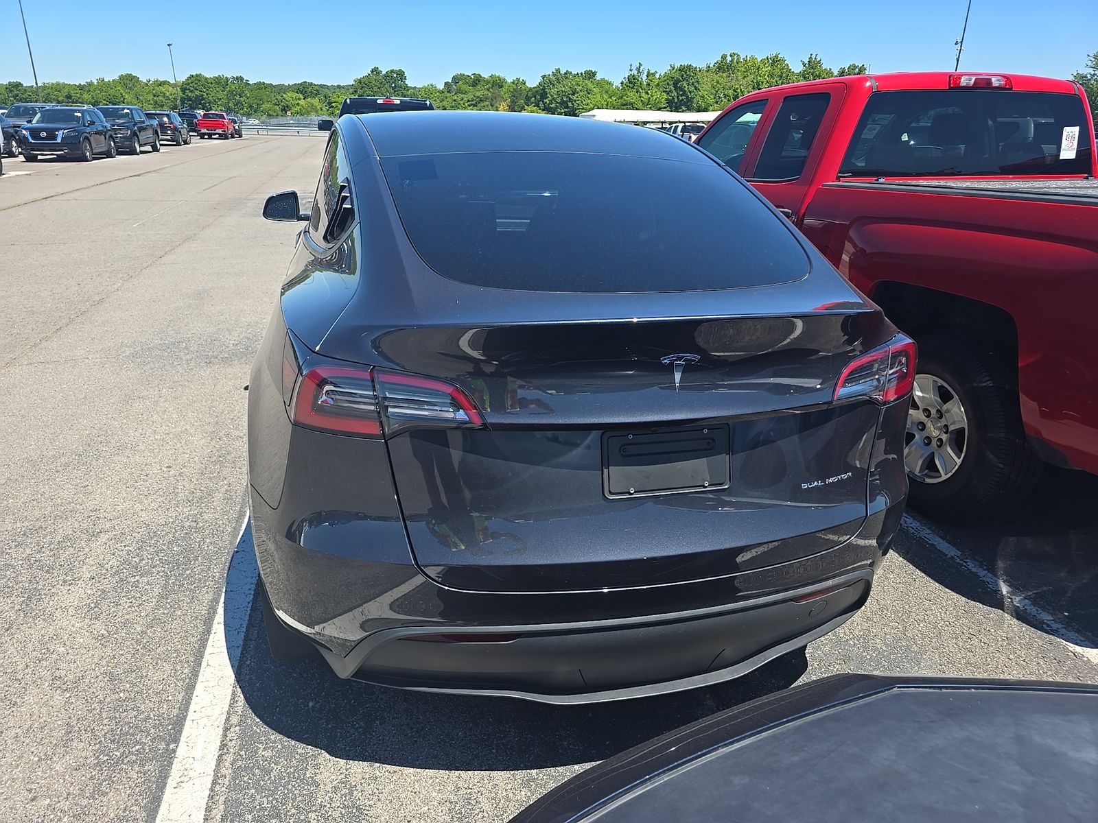 TESLA MODEL Y - 6