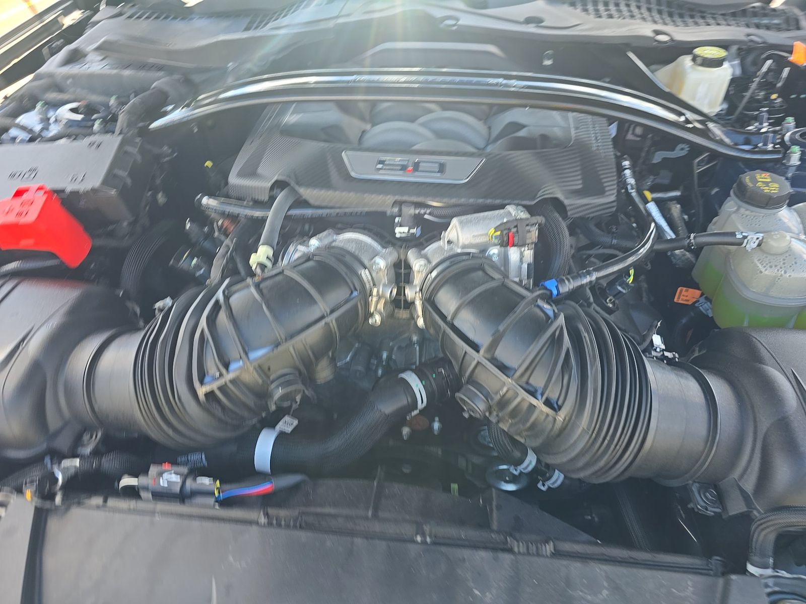 2024 Ford Mustang Dark Horse RWD