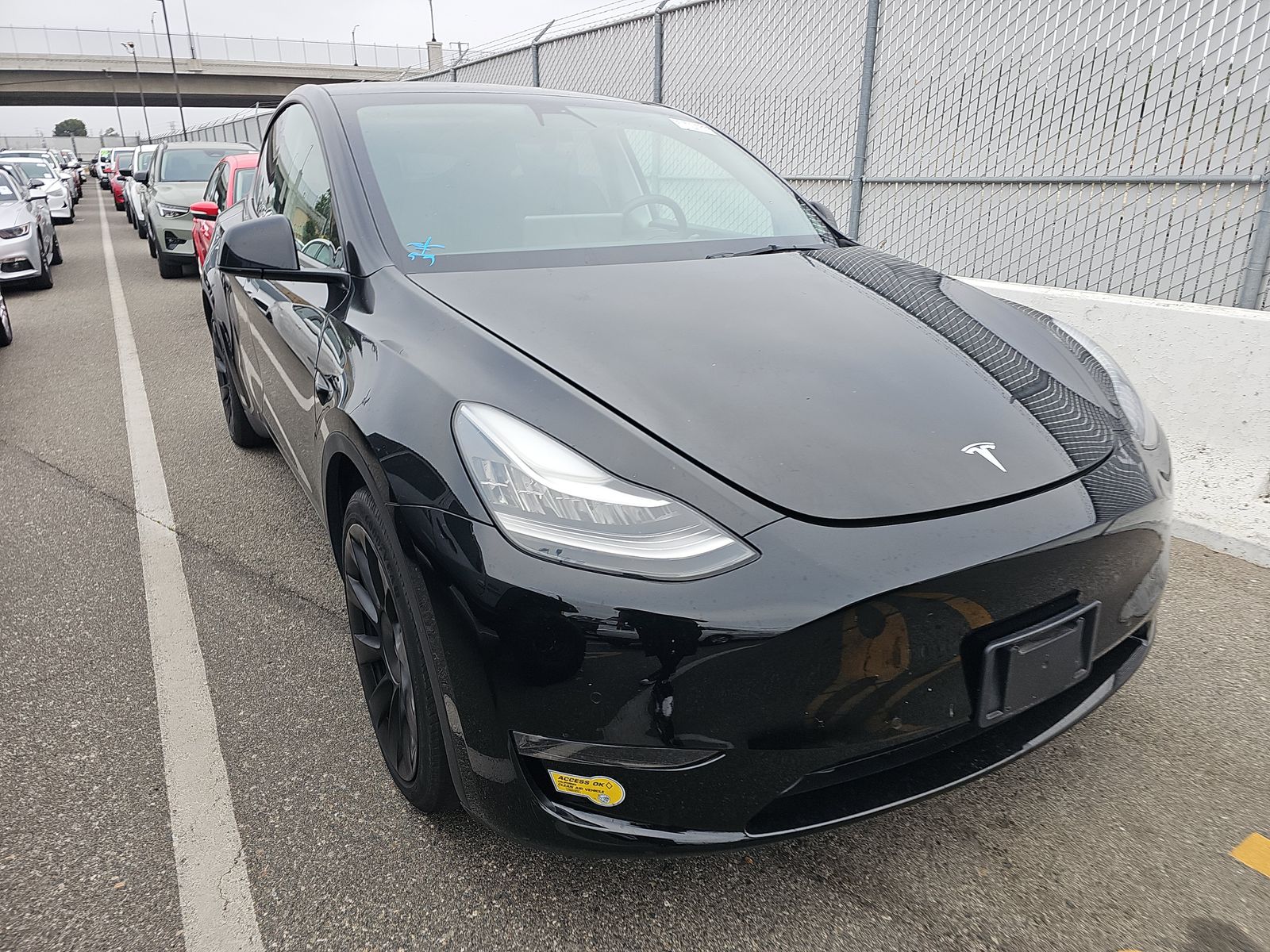 TESLA MODEL Y - 4