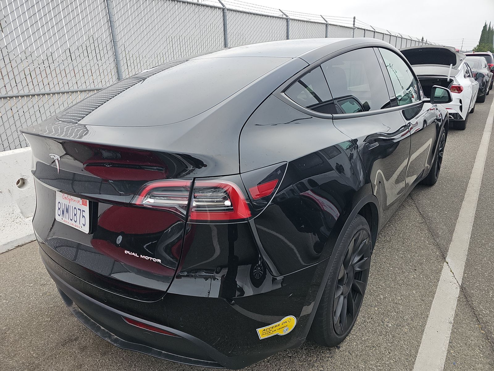TESLA MODEL Y - 5