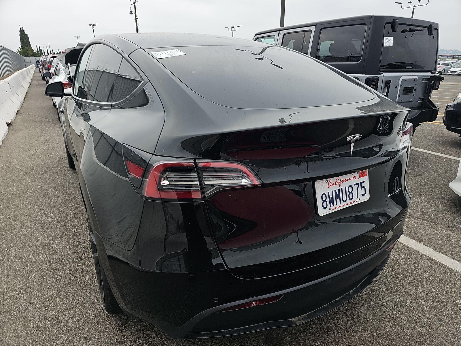 TESLA MODEL Y - 6