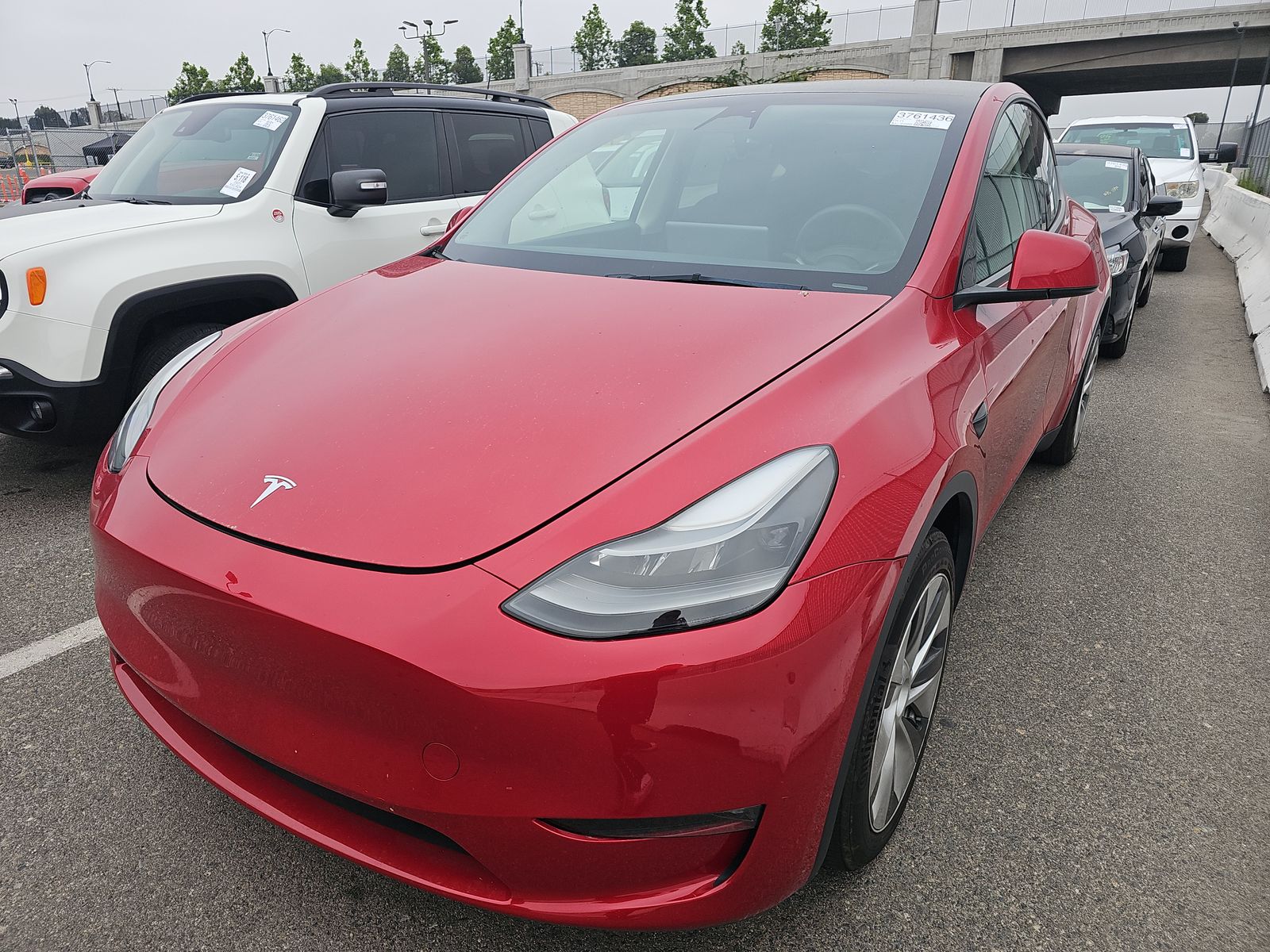 TESLA MODEL Y - 1