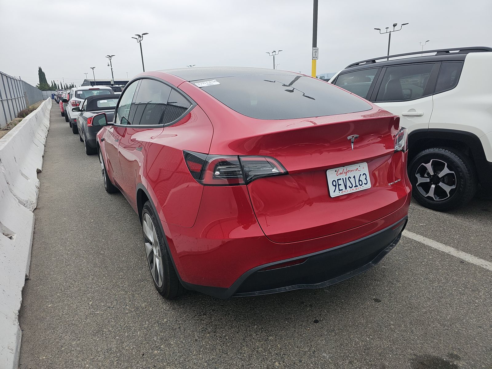 TESLA MODEL Y - 7