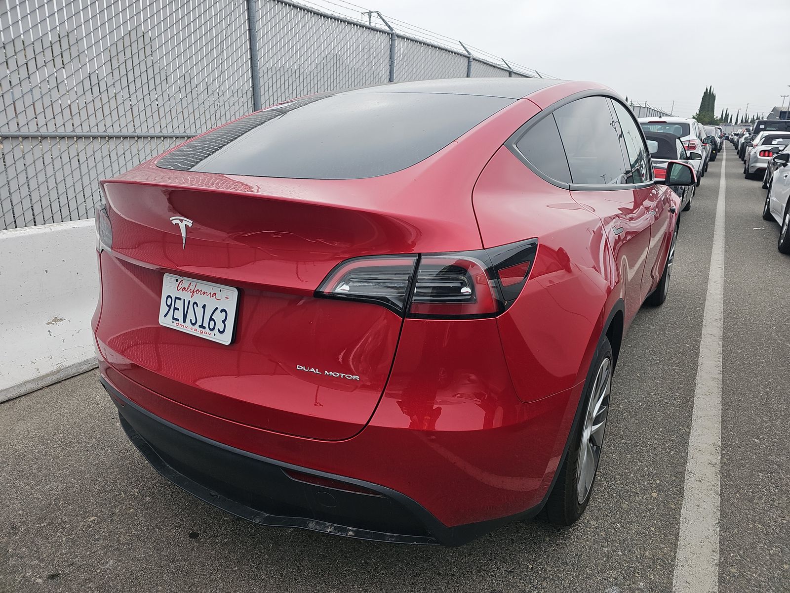 TESLA MODEL Y - 5