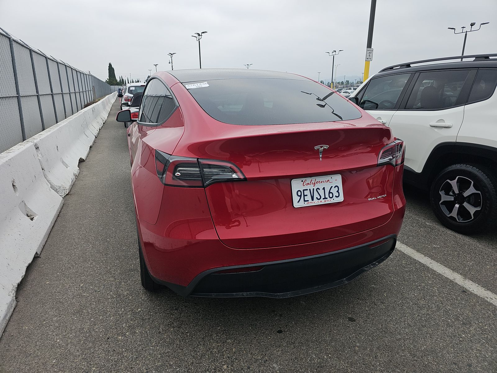 TESLA MODEL Y - 6