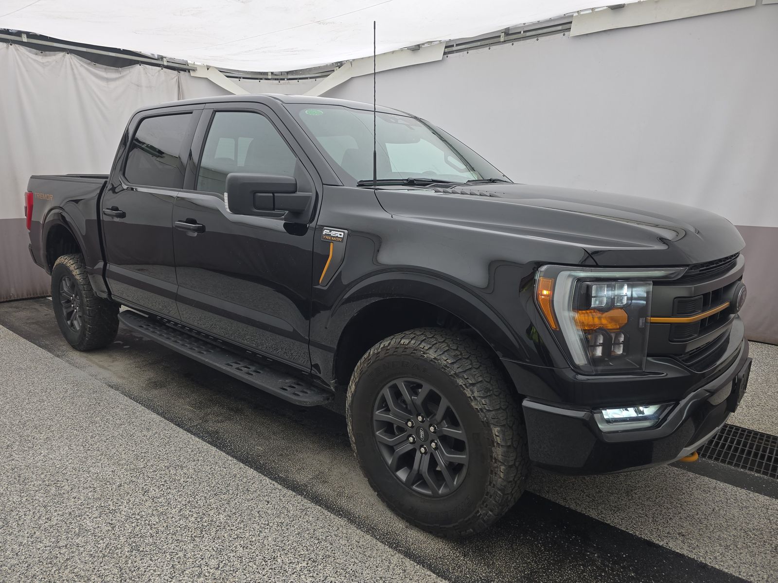 FORD F-150 - 4