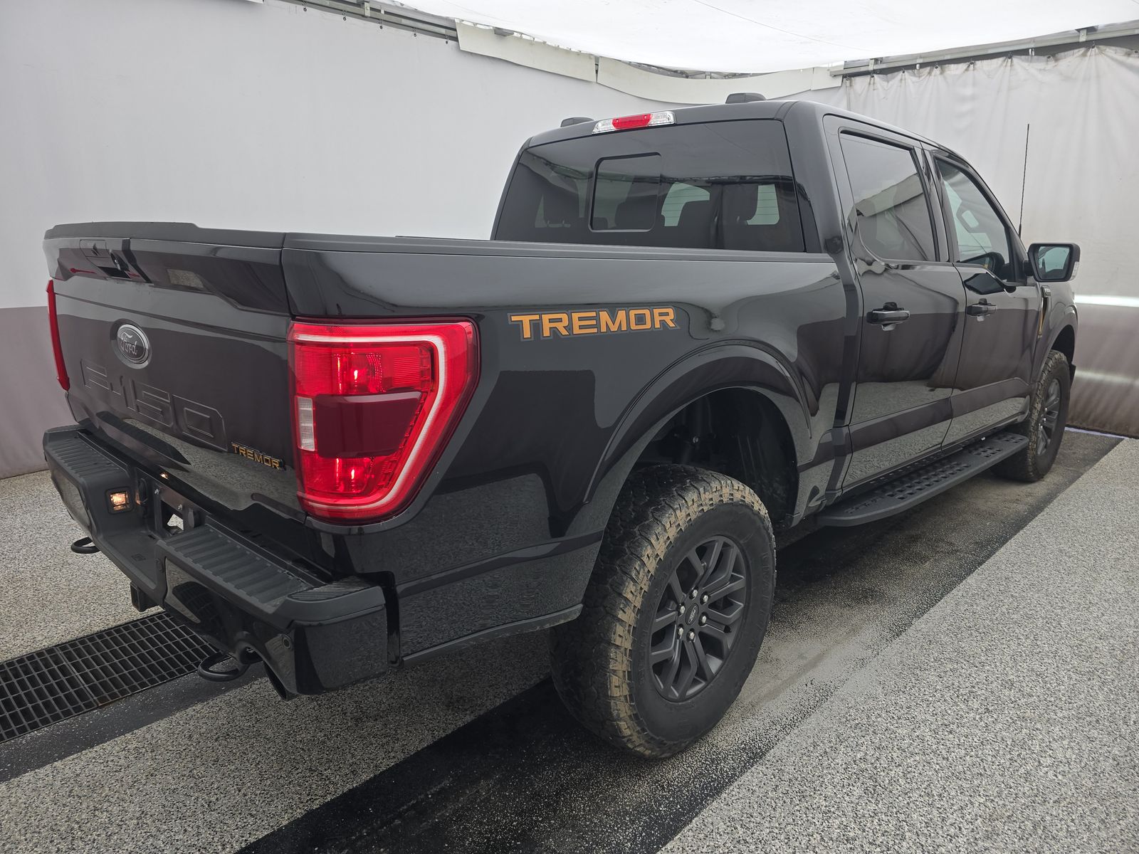 FORD F-150 - 5