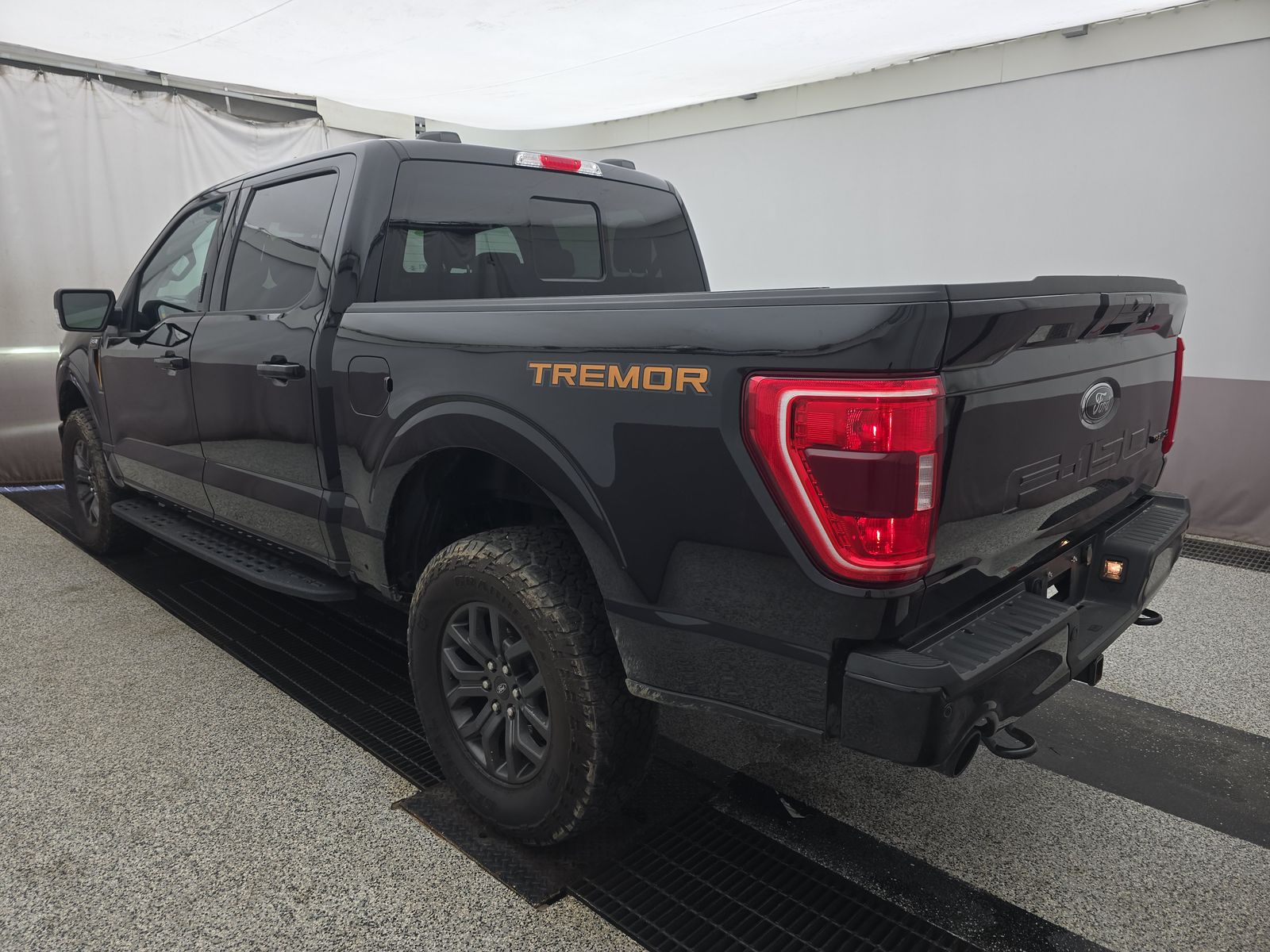 FORD F-150 - 7