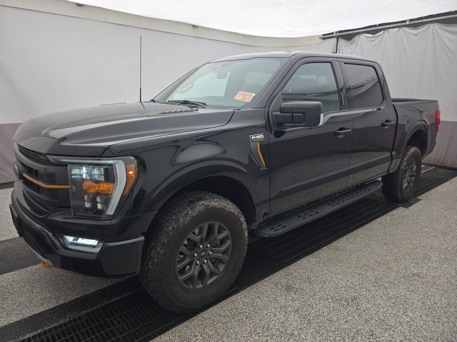 FORD F-150 - 1