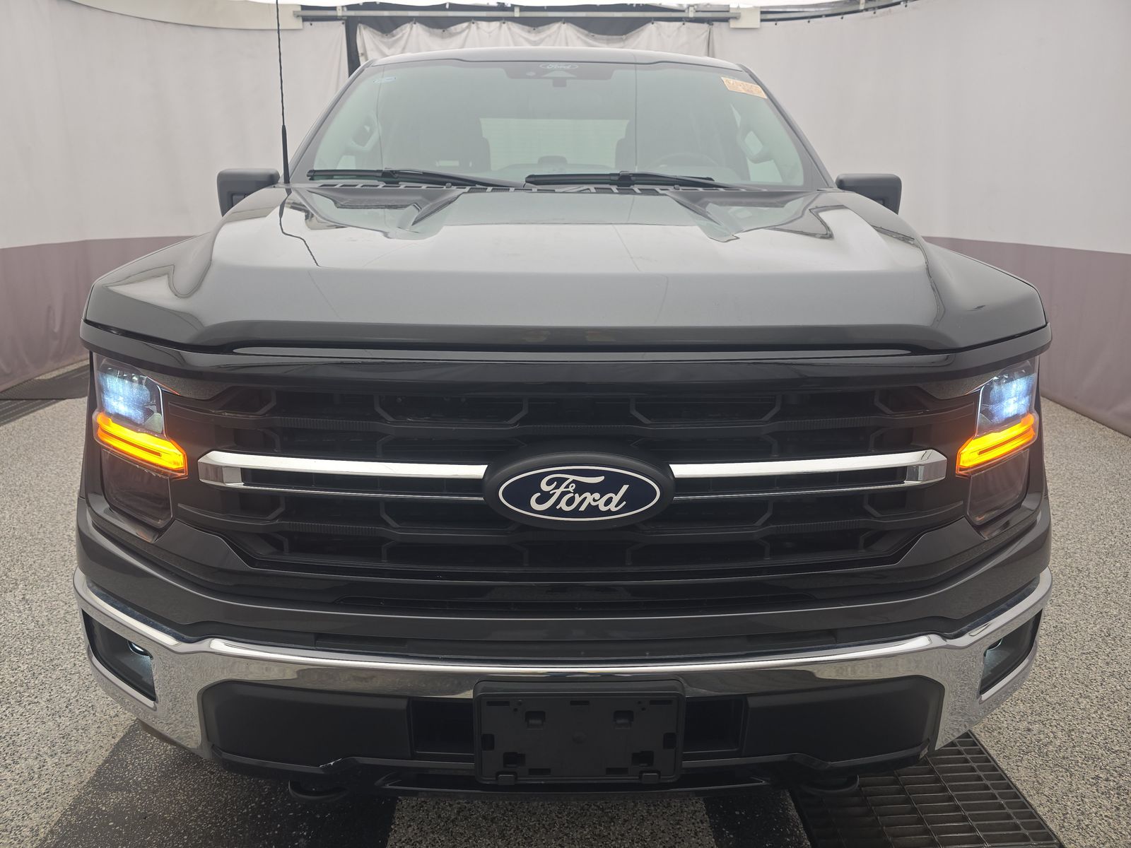 FORD F-150 - 3