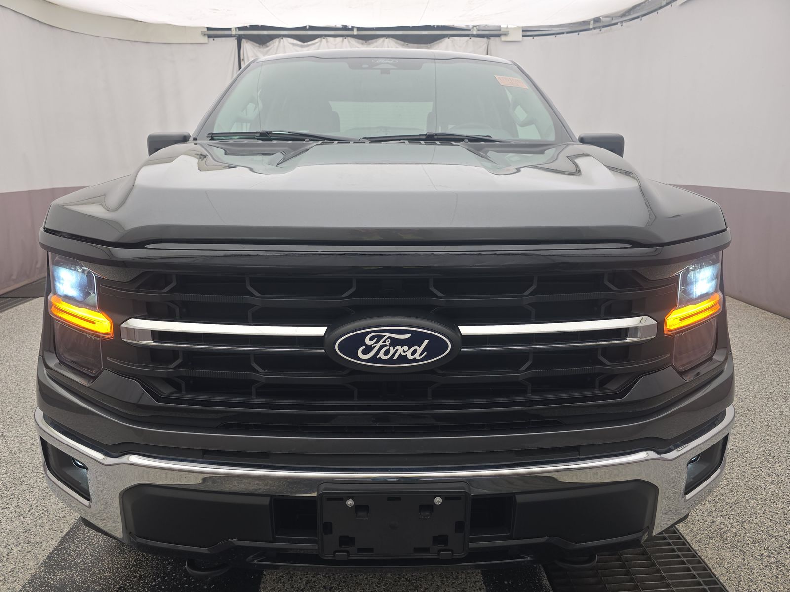 FORD F-150 - 3