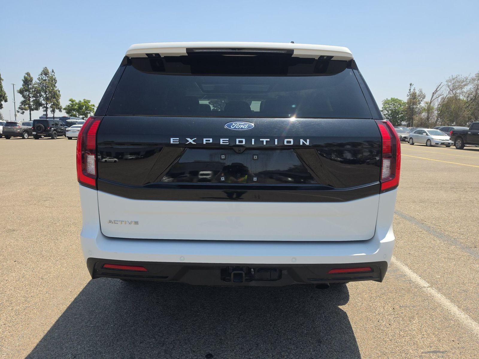 FORD EXPEDITION - 6