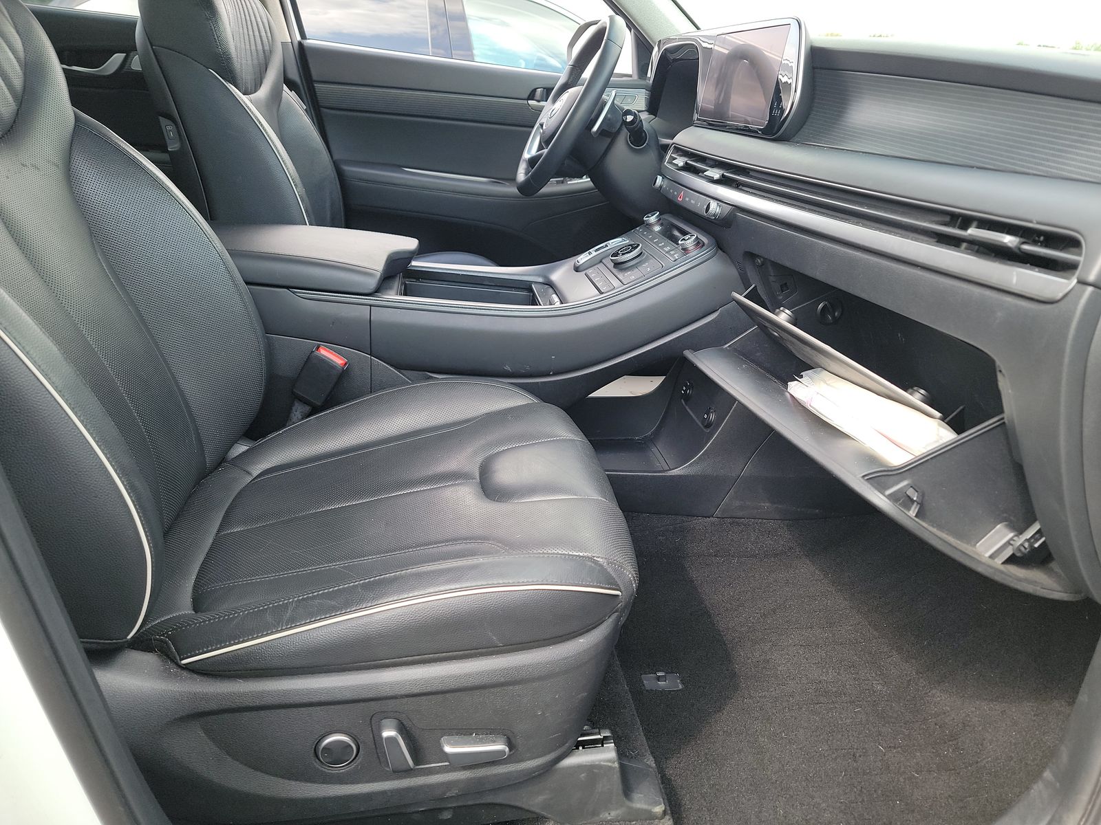 HYUNDAI PALISADE - 9