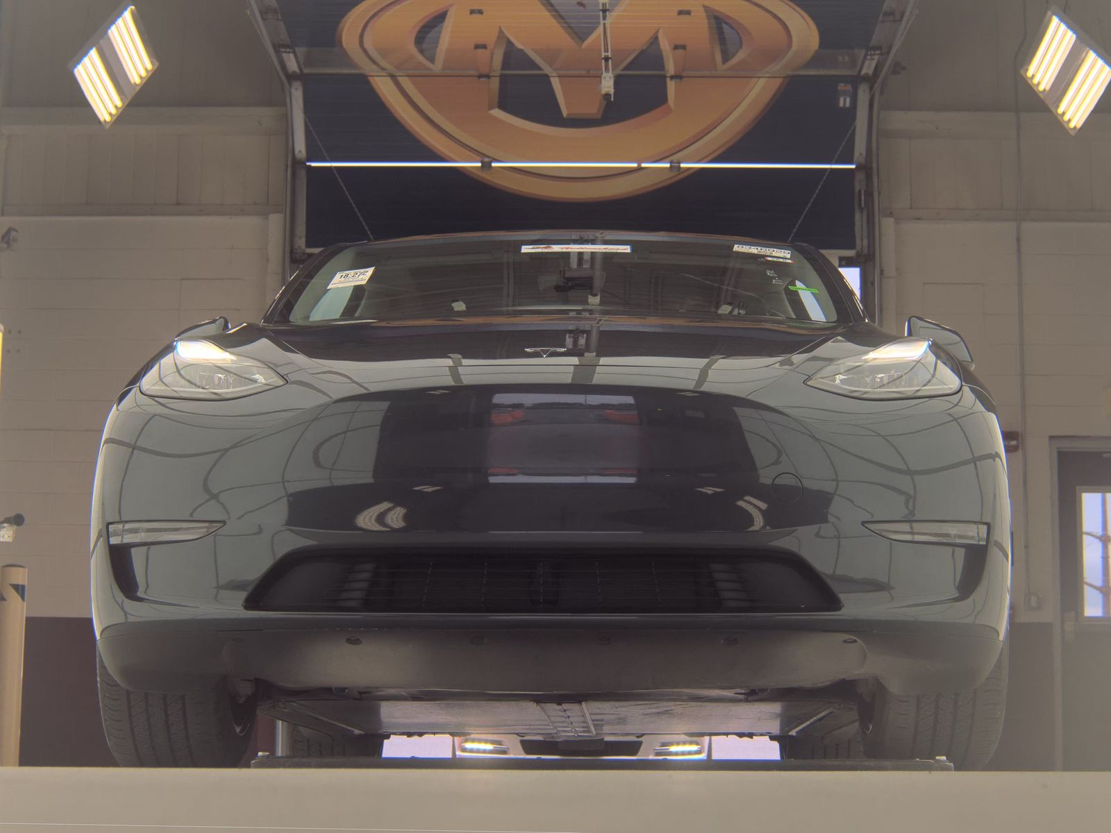 TESLA MODEL Y - 4