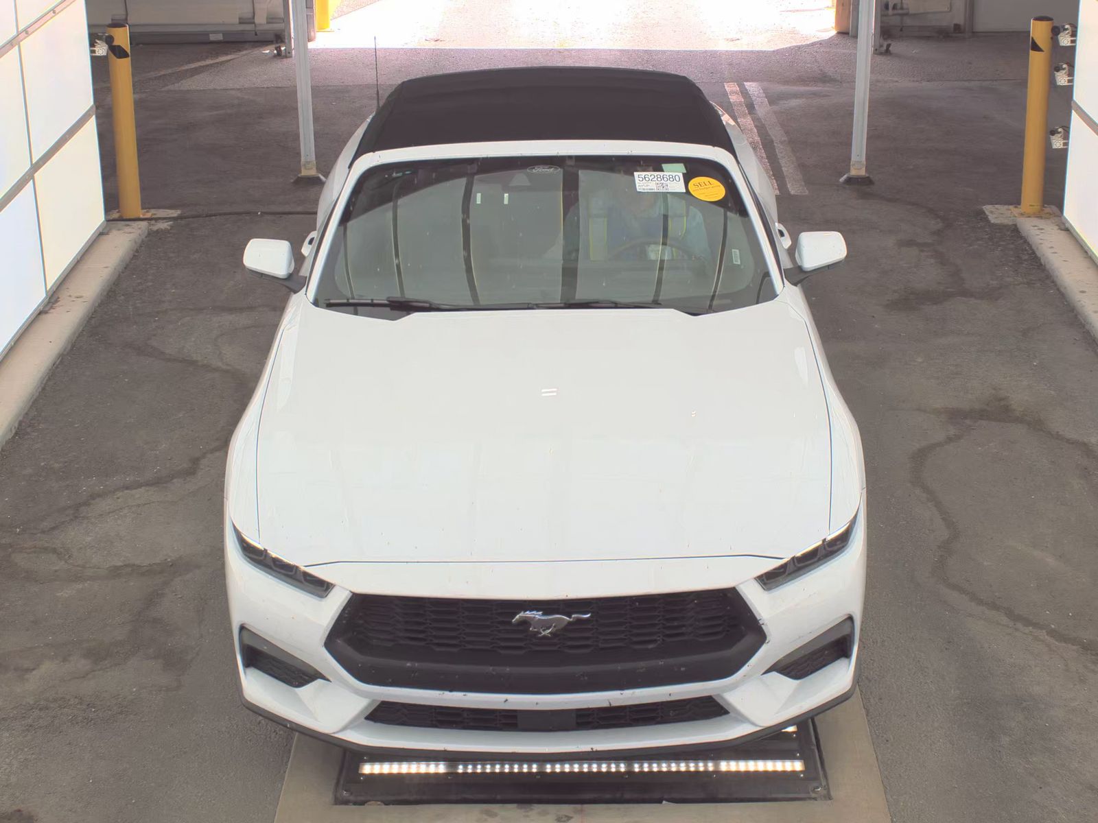 FORD MUSTANG - 3