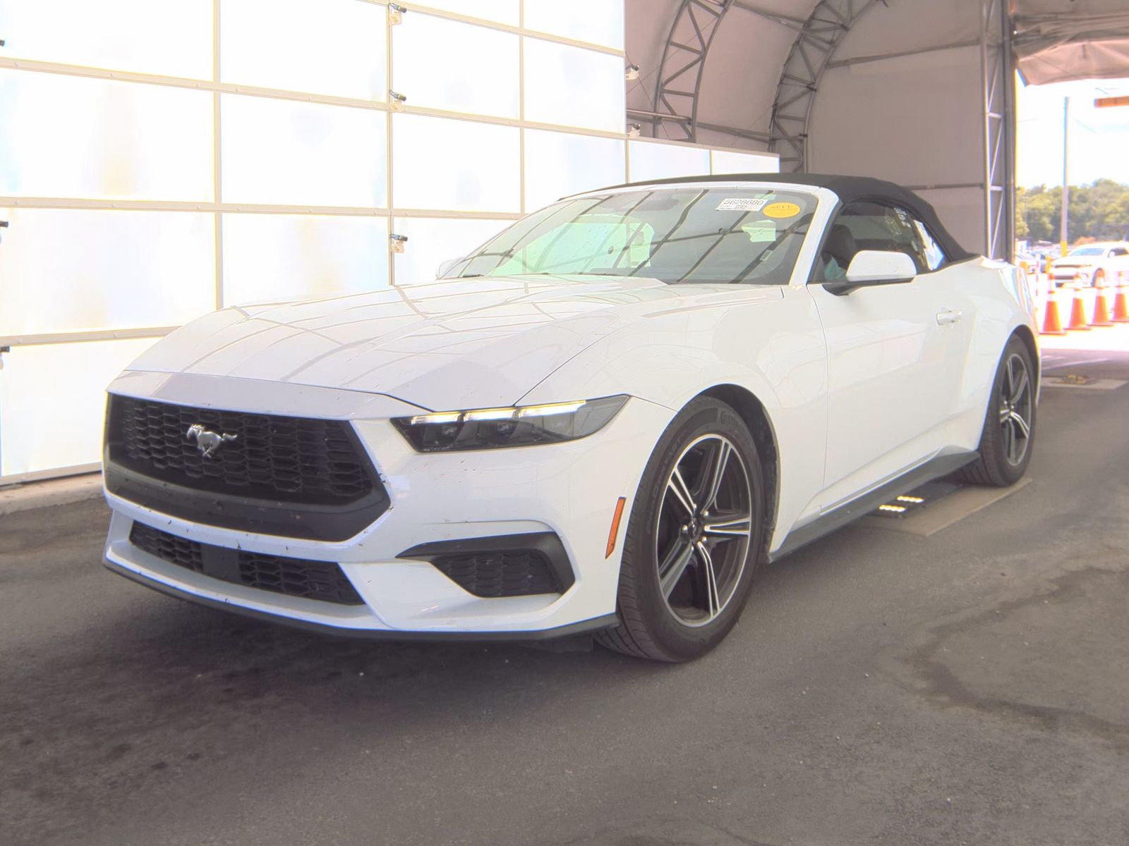 FORD MUSTANG - 1