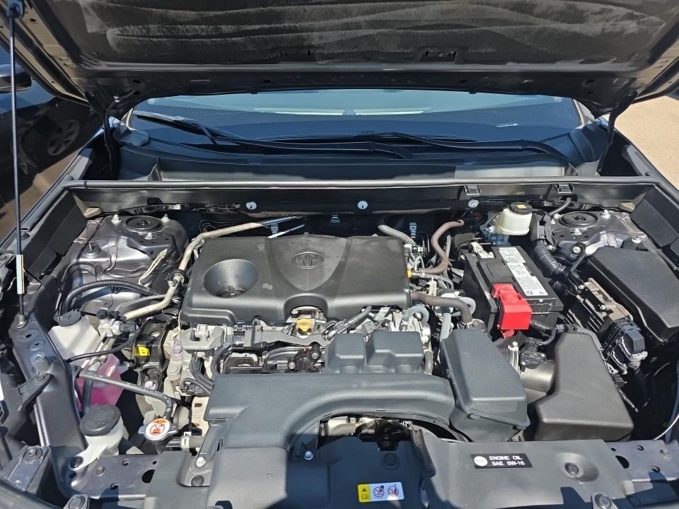 2023 Toyota RAV4 LE FWD