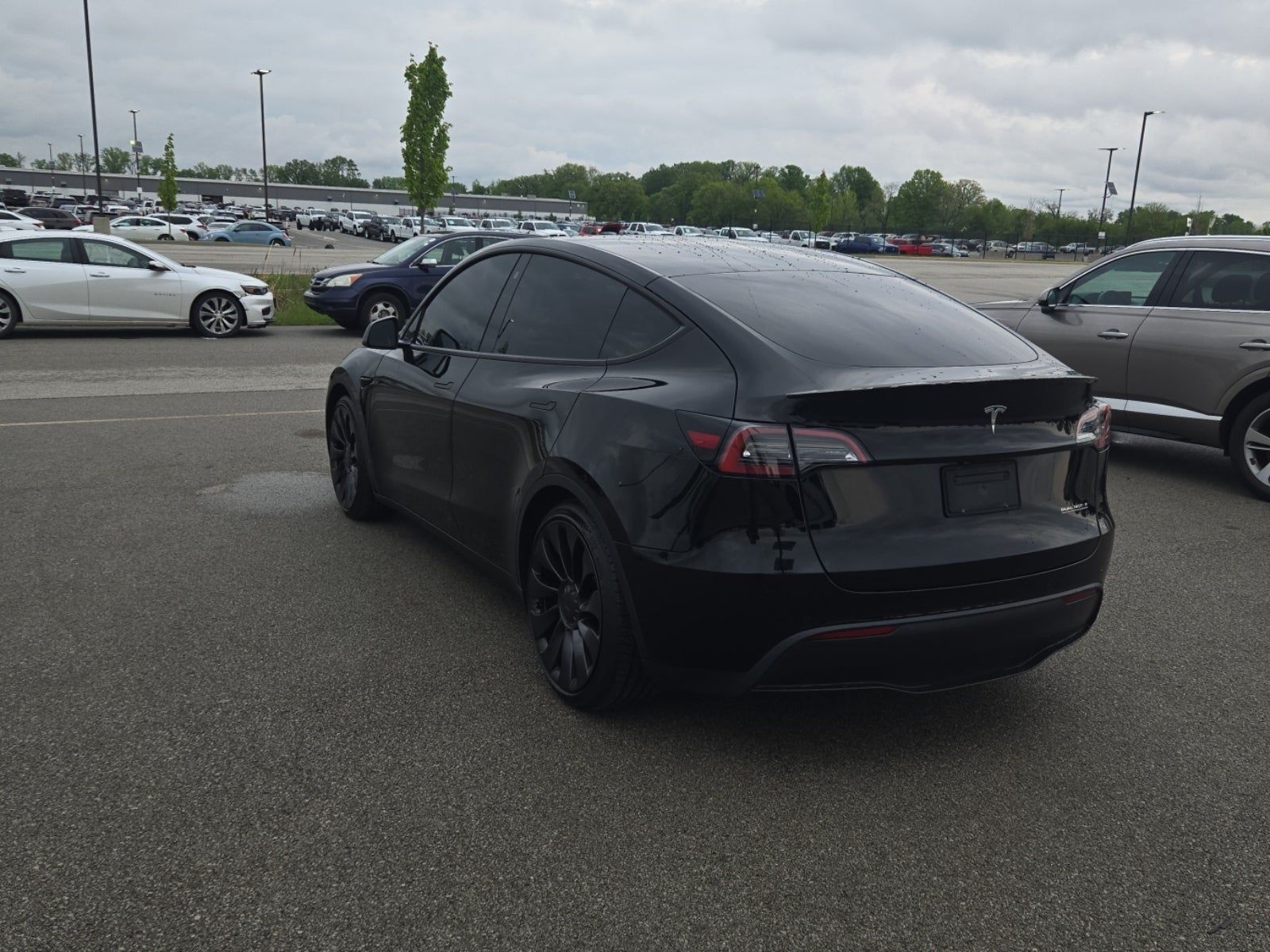 TESLA MODEL Y - 4