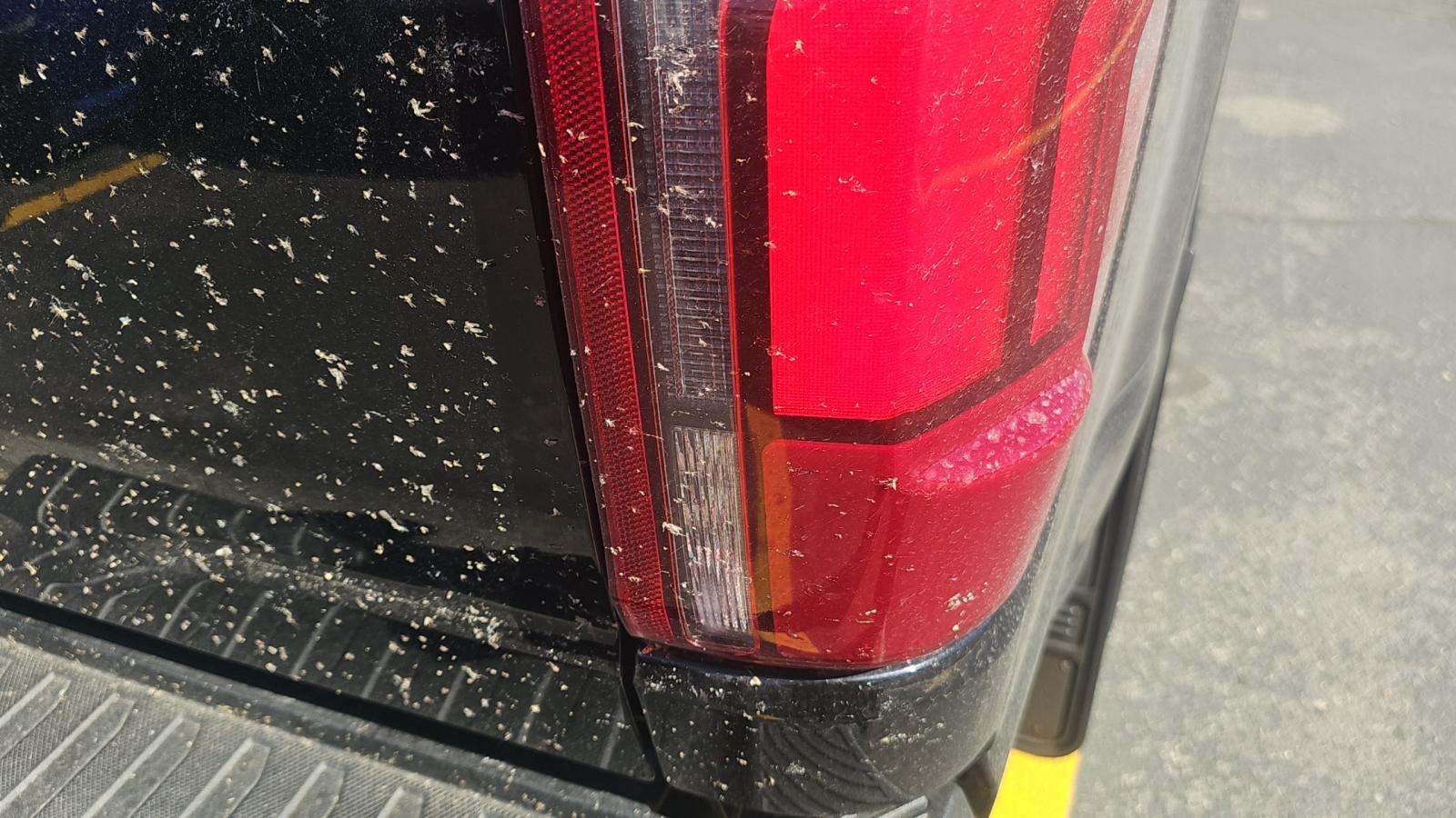 2024 Ford F-150 Lariat AWD