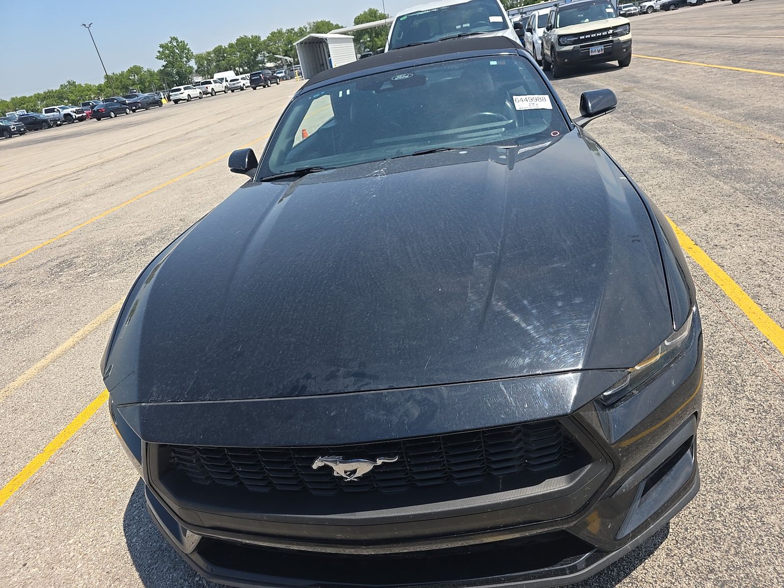 2024 Ford Mustang EcoBoost Premium RWD