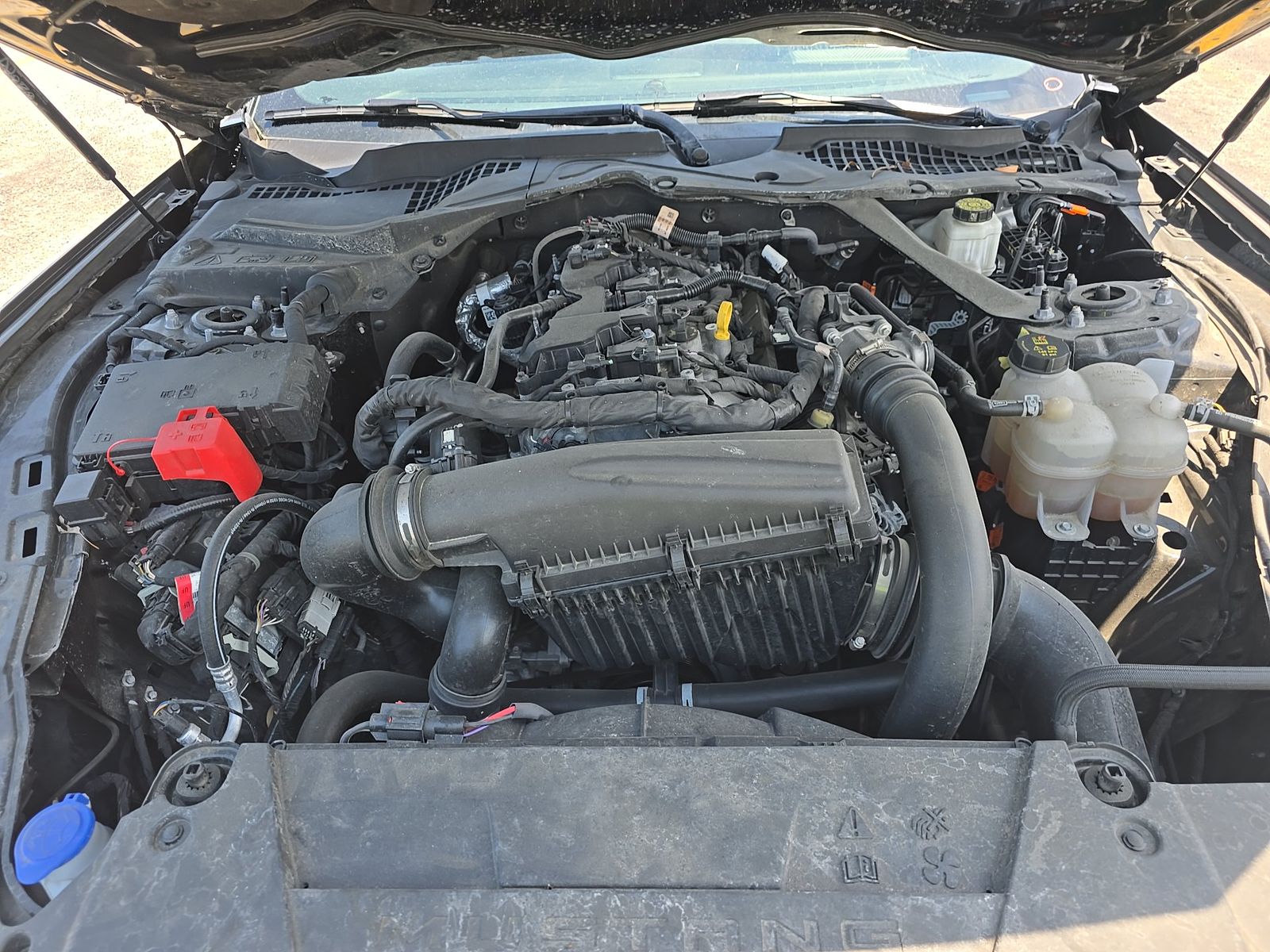 2024 Ford Mustang EcoBoost Premium RWD